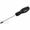 Powerbuilt T-20 x 4 Inch Star Driver with Double Injection Handle - 646156
